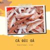 Hình ảnh cá đùi gà tươi | bếp nhà pi | bepnhapi.com