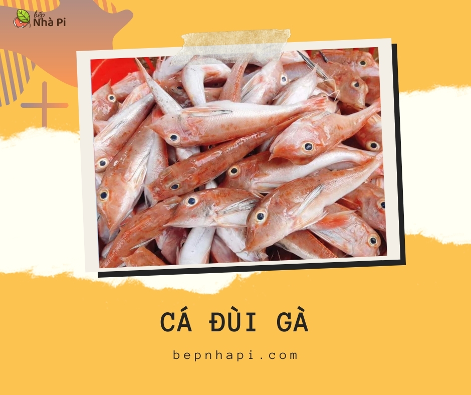 Hình ảnh cá đùi gà tươi | bếp nhà pi | bepnhapi.com