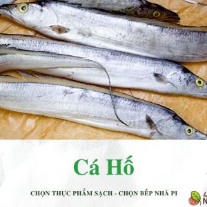 Cá hố là cá gì | Bếp Nhà Pi | bepnhapi.com