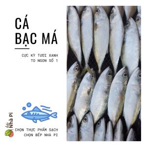 Cá bạc má giàu dinh dưỡng | bếp nhà pi | bepnhapi.com