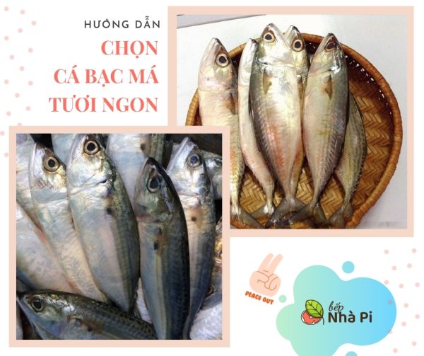 Cách chọn cá bạc má tươi | bếp nhà pi | bepnhapi.com