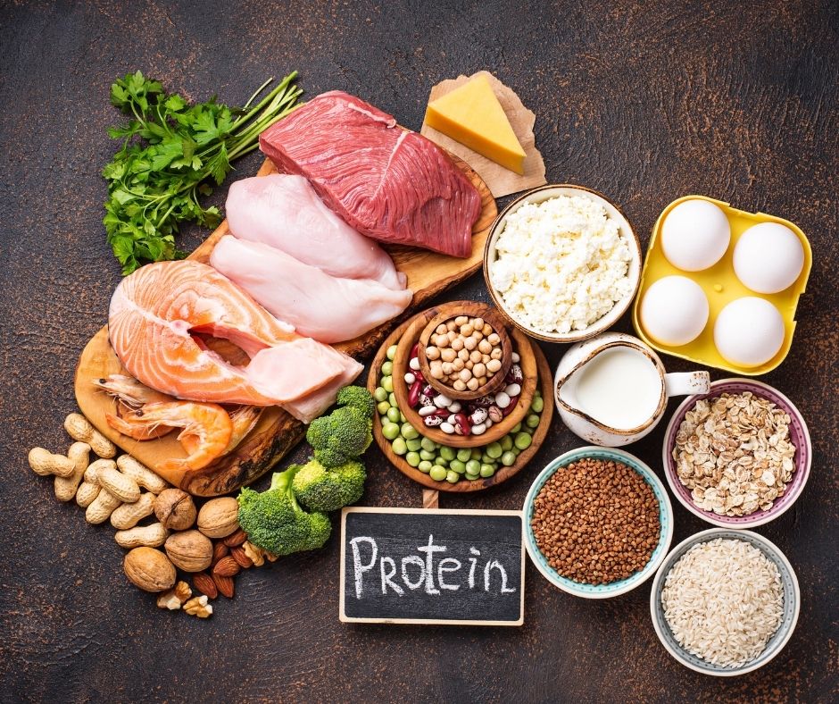 Nhóm Protein - vai trò của thức ăn và dinh dưỡng với cơ thể