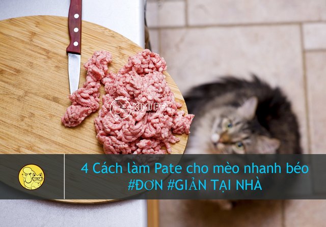 4 Cách nấu Pate cho mèo con & 3 Lưu ý khi làm tại nhà