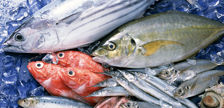 7 cách khử mùi tanh của cá cực hiệu quả dành cho chị em nội trợ