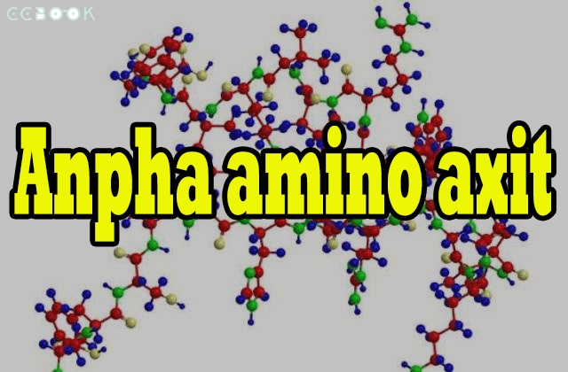 Alpha amino axit là gì