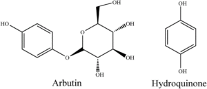 Arbutin là gì? Tác dụng của Arburtin với làn da