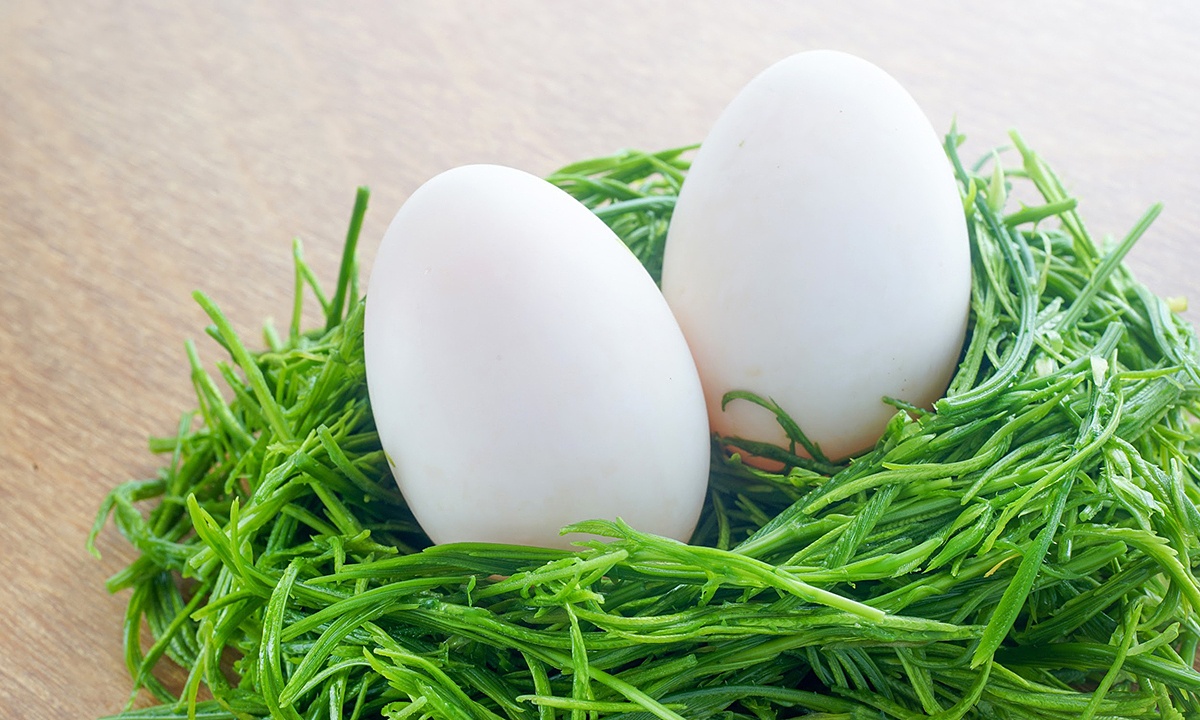 Bà bầu ăn trứng ngỗng có tác dụng gì? Nên ăn vào tháng thứ mấy thai kỳ?