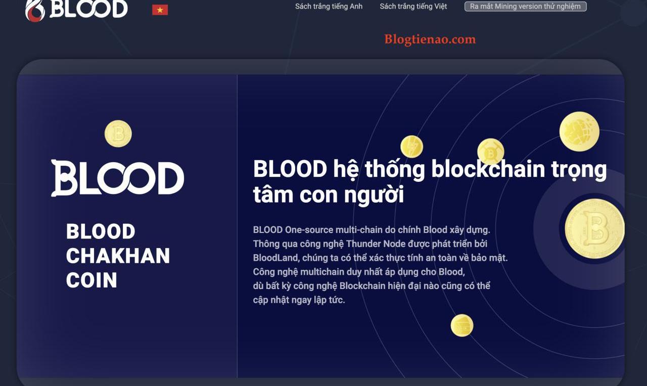 Blood là gì? Những Đặc Điểm Đặc Biệt Của Hệ Thống BloodLand - Blog Tiền