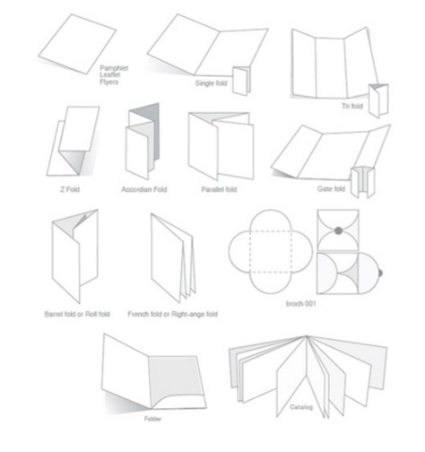 Brochure là gì? 5 xu hướng thiết kế brochure nổi bật