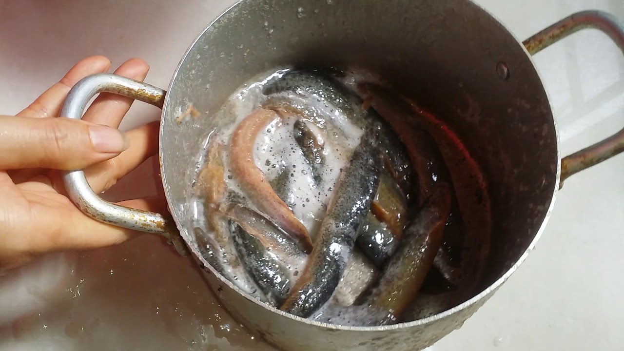 Cách làm cá chạch nấu chuối ngon ngọt thịt bổ dưỡng, ăn là mê