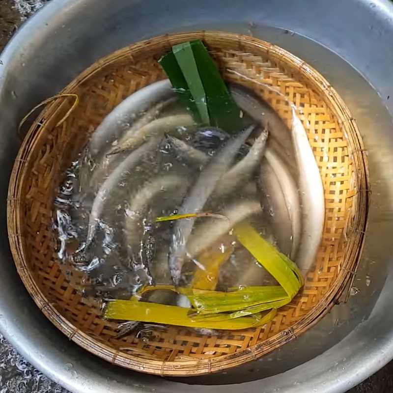 Cách làm cá chạch nấu lá giang ngon chua thanh ngọt mềm