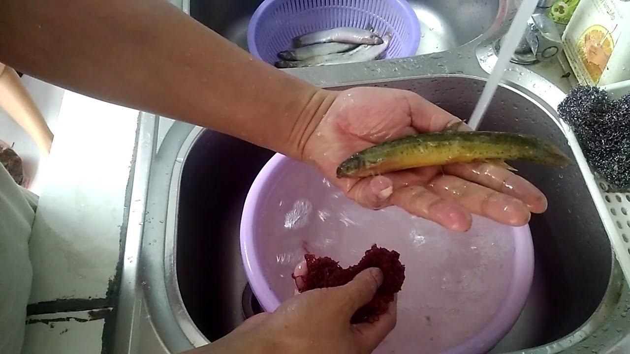Cách làm cá chạch nấu măng chua mềm ngon, dai ngọt cho mùa hè