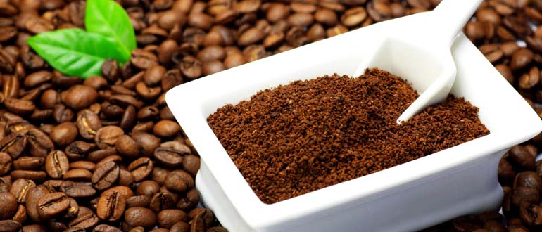 Cách ủ bã cà phê - mách bạn 5 mẹo làm nhanh, giúp cây phát triển tốt