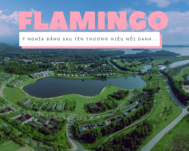 Cái tên Flamingo nổi danh ra đời như thế nào?