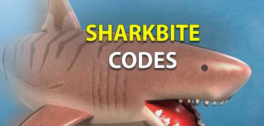 Code Sharkbite 2022 mới nhất, Cách nhập Codes chính xác