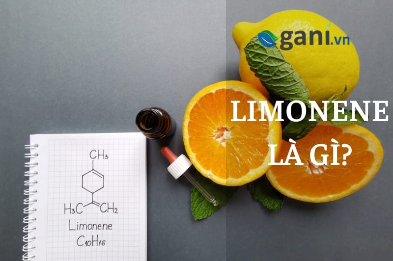 Limonene Là Gì? 5 Tác Dụng Của Limonene Trong Đời Sống