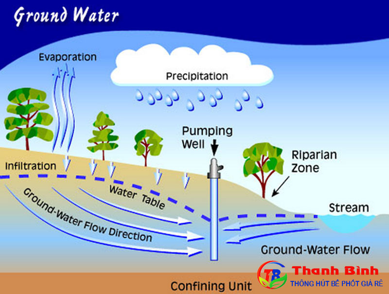 Nước ngầm là gì? Vai trò và ảnh hưởng của mạch nước ngầm