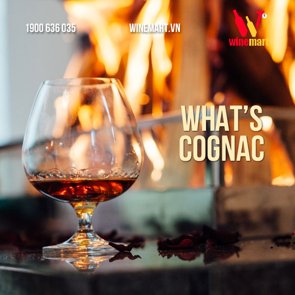 Rượu Cognac