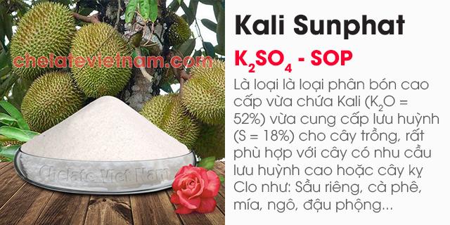 Sử dụng Kali Sunphat K2SO4 - giải pháp tăng năng suất, tăng chất lượng nông sản