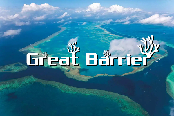 The Great Barrier Reef là gì ? Khám phá rặng san hô lớn nhất trên thế giới