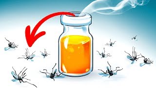 Top 20 cách diệt muỗi hiệu quả, bảo vệ sức khỏe cho bạn