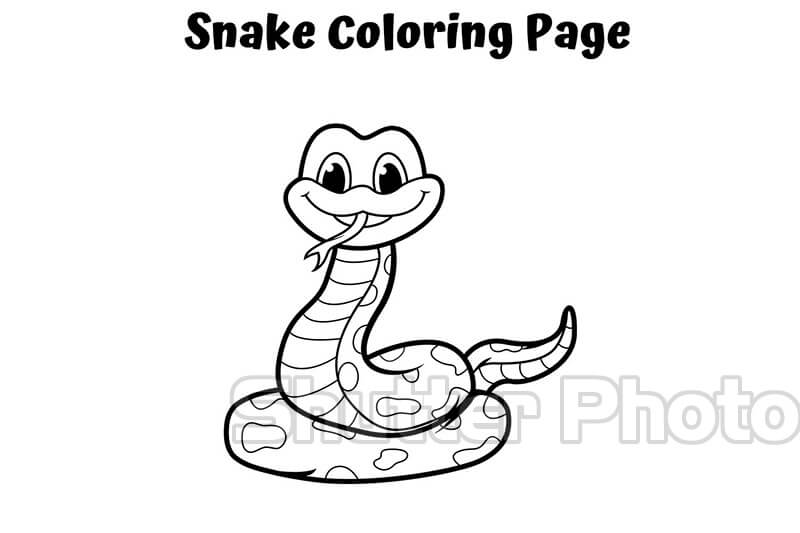 Xem hơn 100 ảnh về hình vẽ rắn đẹp  NEC