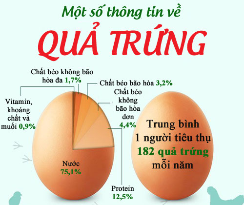 Trứng có chất gì? Nên ăn bao nhiêu quả trứng một tuần/tháng là đủ?