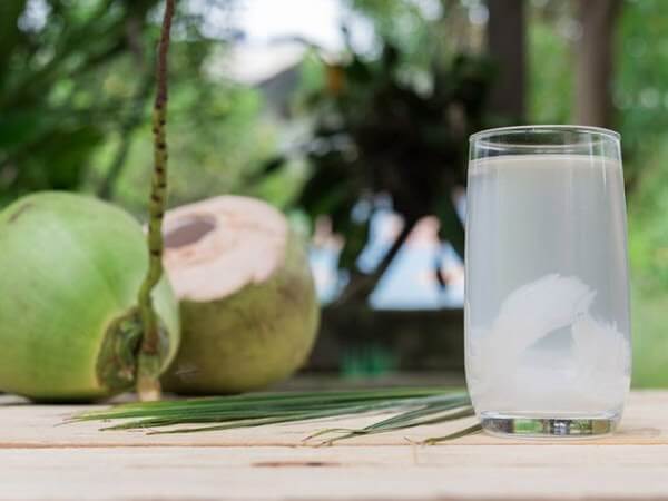 Uống nước dừa có béo không? Lợi ích của nước dừa
